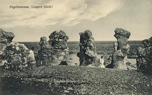 Gotland, Fågelhammarn, Ljugarn