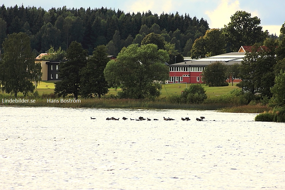 Elevhemmet vid Lindeskolan