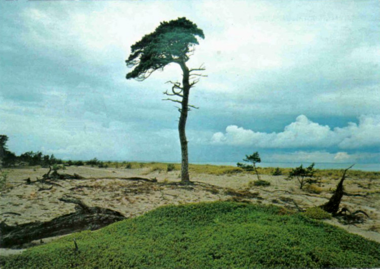 Gotland, Gotska Sandön Sälutsiktstallen