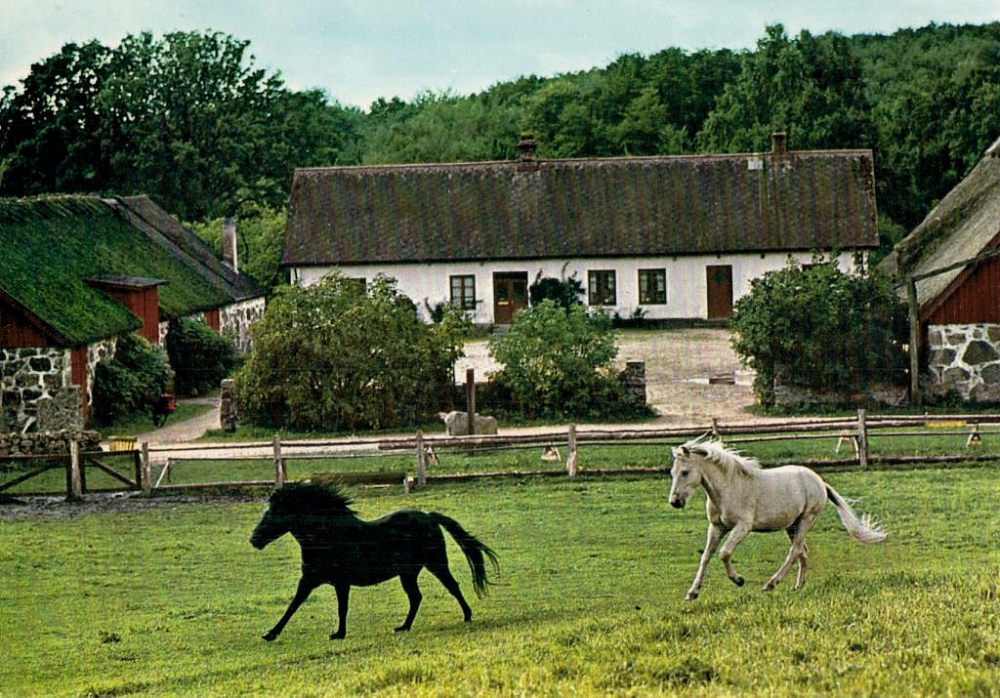 Gotland, Väntinge Gård