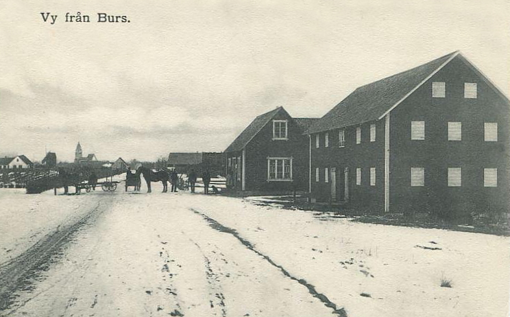 Gotland, Vy från Burs