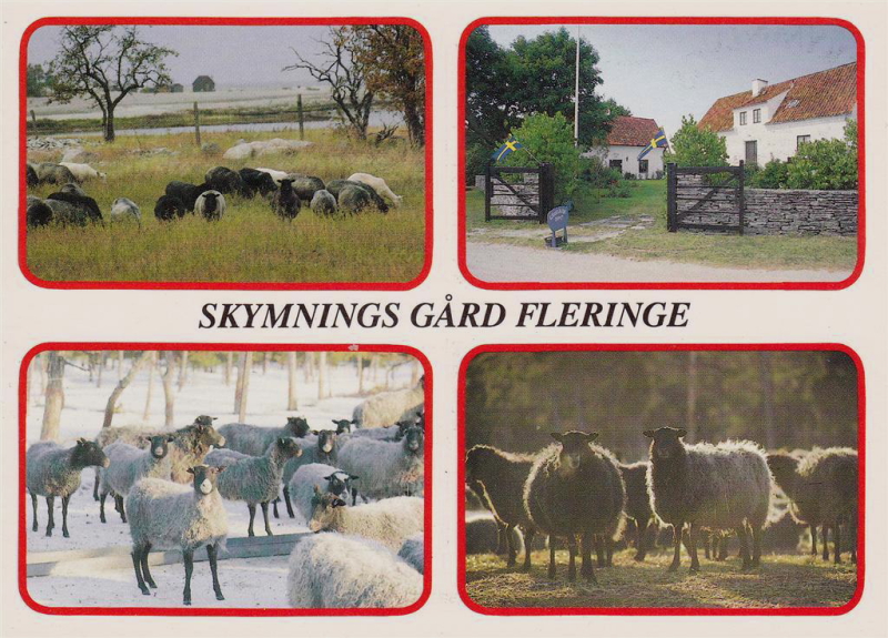 Gotland, Skymnings Gård, Fleringe