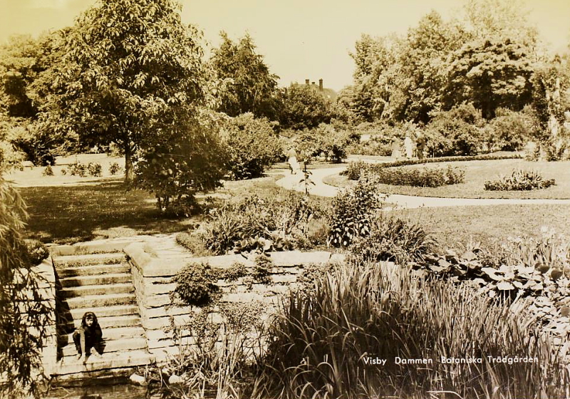 Gotland, Visby, Dammen Botaniska  Trädgården