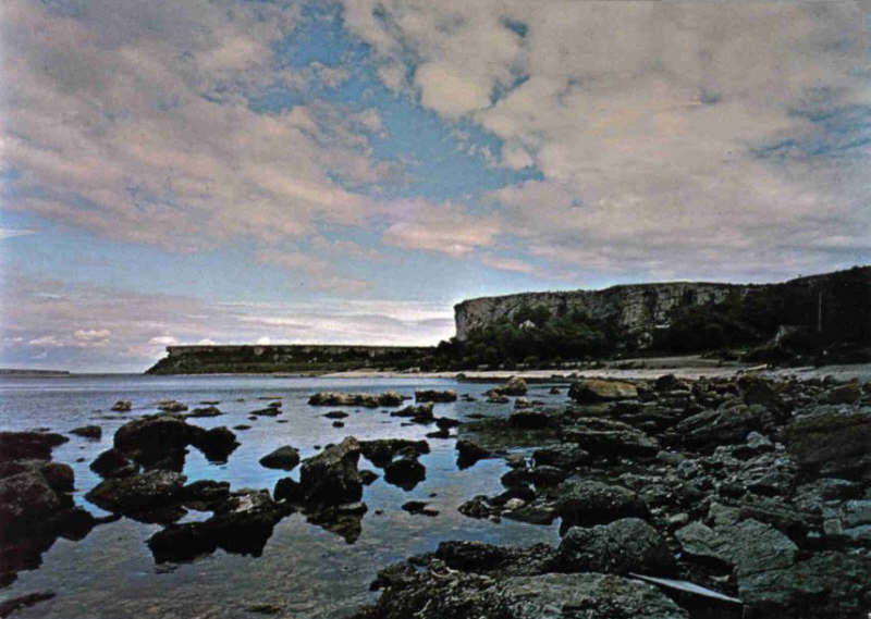 Gotland, Stora Karlsö, Hien
