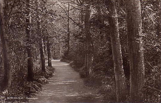 Öland, Borgholm Slottsvägen