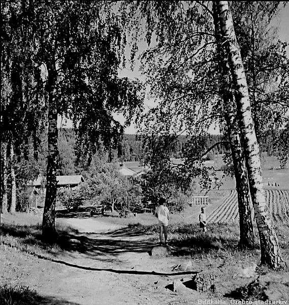 Hällefors, Hjulsjö, Sommarkollo Stora Hästnäs 1956