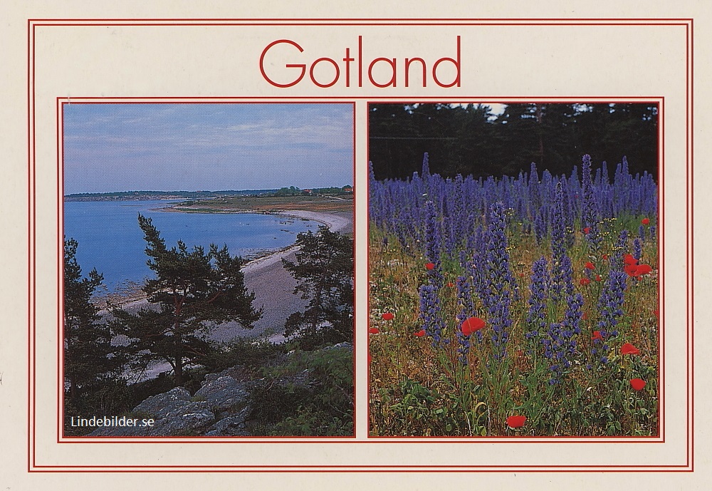 Gotland. Blåeld.