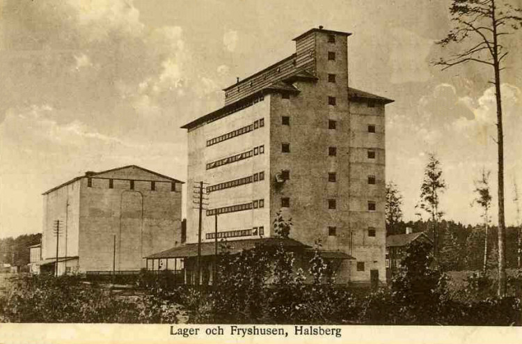 Lager och Fryshusen, Halsberg