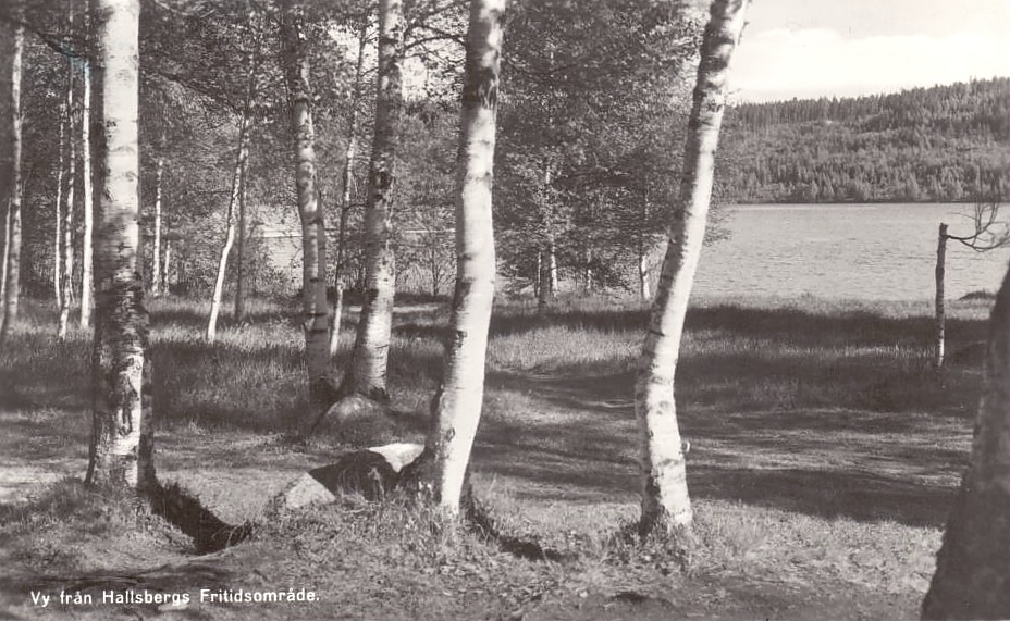 Vy från Hallsbergs Fritidsområde