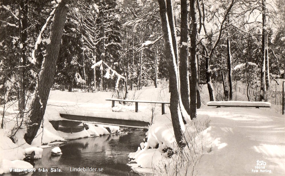 Vintermotiv från Sala