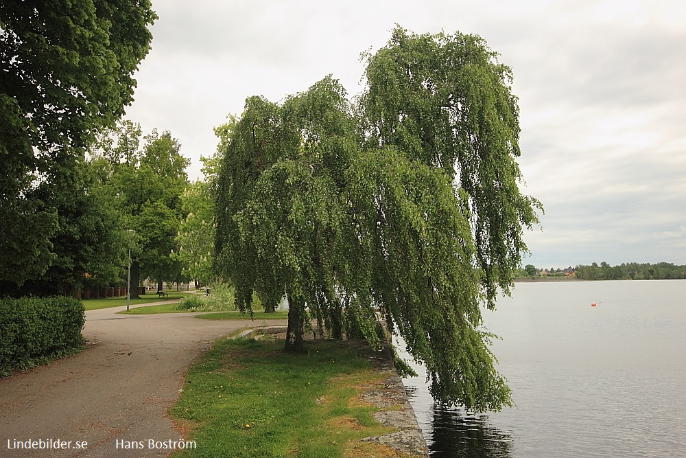 Strandpromenaden