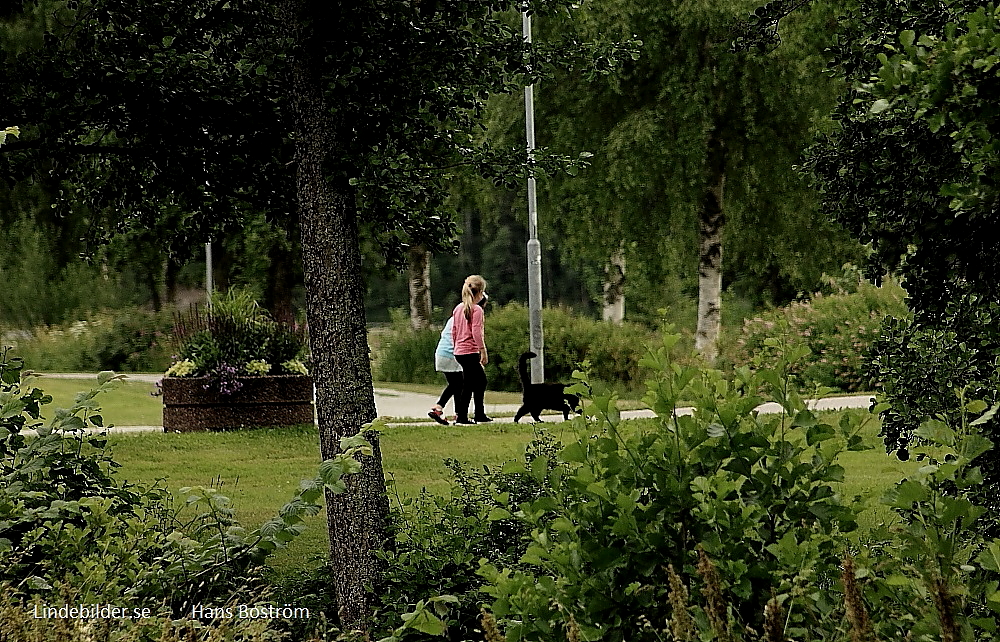 Hundpromenad
