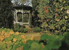 Gotland, Visby, Floras Tempel Gotland, Visby, Floras Tempel