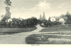 Nora, Parti av Järle 1925 Nora, Parti av Järle 1925