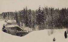 Nora, Järle Järleån Nora, Järle Järleån