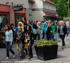 Karneval, Lindeskolan 7/6 2012