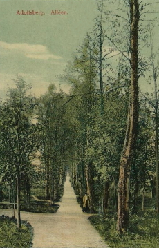 Örebro, Adolfsberg Alleen 1918 Örebro, Adolfsberg Alleen 1918