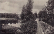 Ludvika, Parti av Grängesberg 1929 Ludvika, Parti av Grängesberg 1929