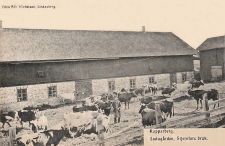 Kopparberg, Ladugården Stjernfors Bruk Kopparberg, Ladugården Stjernfors Bruk