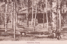 Alphyddan, Köping 1917 Alphyddan, Köping 1917