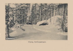 Köping, Karlbergsskogen
