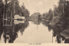 Hällefors, Parti av Bredsjö 1919 Hällefors, Parti av Bredsjö 1919