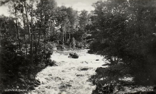 Ludvika Forsen 1952