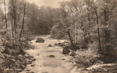 Ludvika Forsen Ludvika Forsen