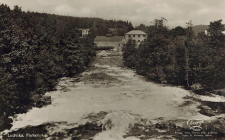 Ludvika Forsen