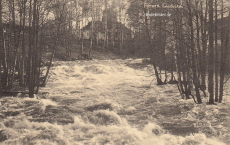 Ludvika Forsen 1903 Ludvika Forsen 1903