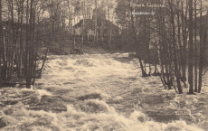 Ludvika Forsen 1903