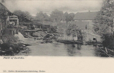 Parti af Ludvika 1903