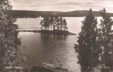 Ludvika Vässman