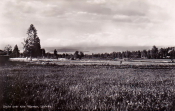 Ludvika, Utsikt över sjön, Väsman Ludvika, Utsikt över sjön, Väsman