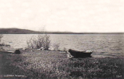 Ludvika Wässman Ludvika Wässman