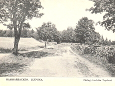 Hammarbacken. Ludvika 1906