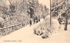 Ludvika, Natur i snö