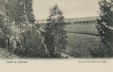 Parti af Ludvika Parti af Ludvika