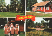 Ludvika, Aborrberg