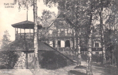 Parti från Ludvika 1913 Parti från Ludvika 1913