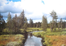 Ludvika, Dan Andersson Ludvika, Dan Andersson