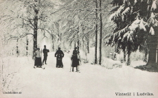 Vinterlif i Ludvika Vinterlif i Ludvika