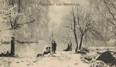 Vinterparti från Söderbärke Vinterparti från Söderbärke