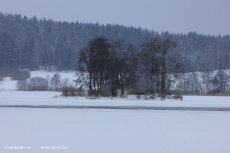 Ön   Trallingen