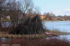 Majbrasa på Lilla Trallingen