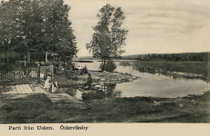 Öskevik, Parti från Usken, Öskeviksby 1908 Öskevik, Parti från Usken, Öskeviksby 1908