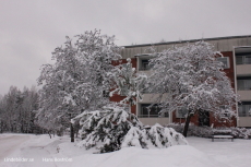 Snöfall på Skinnarbacken