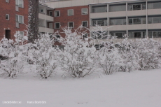 Snöfall på Skinnarbacken