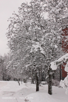 Snöfall på Skinnarbacken