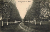 Borlänge, Stora Tuna Prostgården och Allen 1906 Borlänge, Stora Tuna Prostgården och Allen 1906